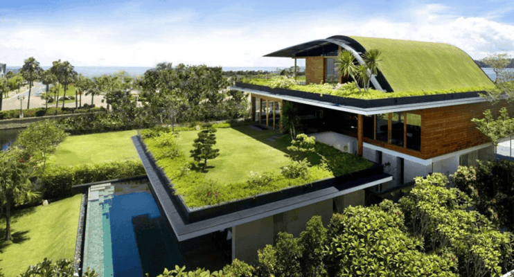 Sân thượng phủ cây xanh – giải pháp chống nóng thân thiện với môi trường